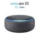 d01-Echo Dot 3