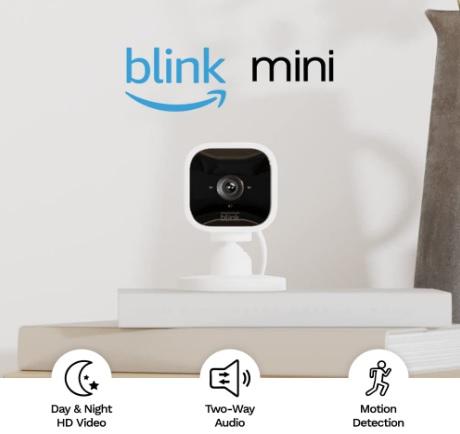 ca03-Blink mini